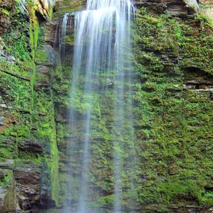 Nature's Hidden Treasure