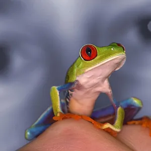 Seeing Things Differently