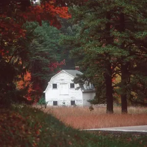 Old White Barn