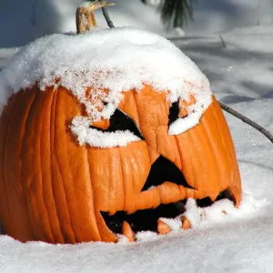 Snowy Pumpkin