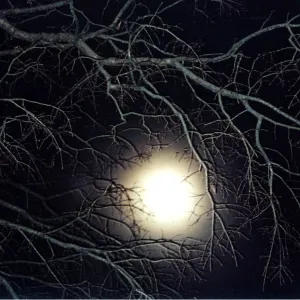 Full Moon