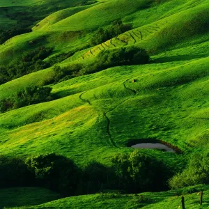 Old Coast Road Hills
