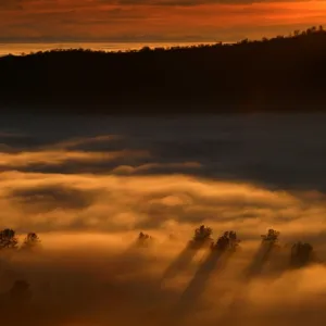 Nature's Finest Hour