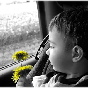 Stop to Smell the Flowers