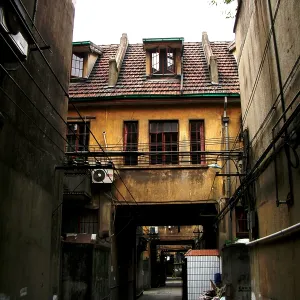 Shanghai Streetscape