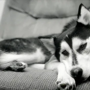 Please...Don't Move Me