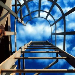 Up the Ladder