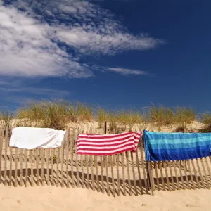 Beach Towels