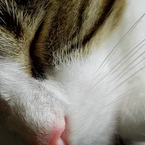 Calm, but Still Stormy