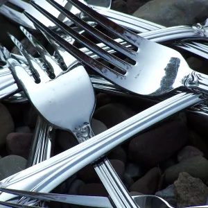 Forks