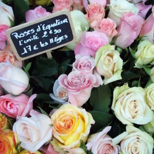 Fleurs dans Montmartre