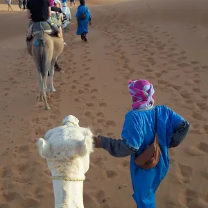 Moroccan Adventure