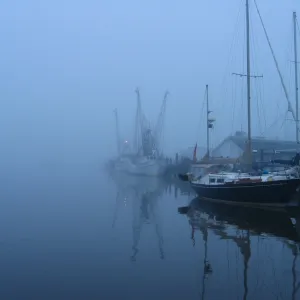 Foggy Harbor