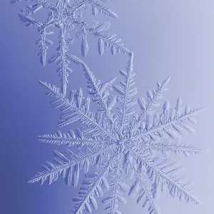 Synergistic Snowflakes