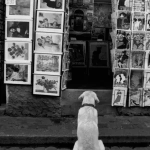 Le Connoisseur d'Art