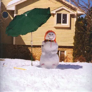 Protecting Snowman