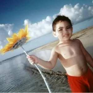 The Sunflower Of My Life