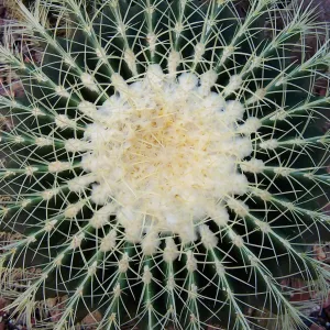 Symmetry