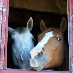 What's the Password?