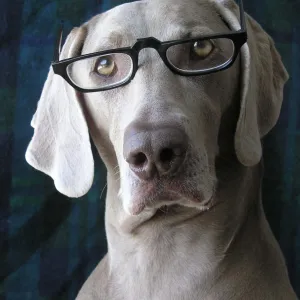 "You talkin' to me?"