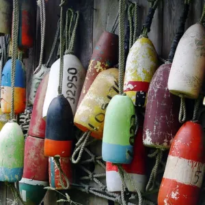 Fishing Float Collection 