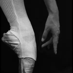 Rehearsal - On Point