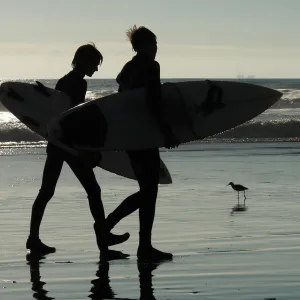 Two Surfers and a Bird