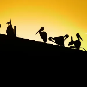 Meeting now in session