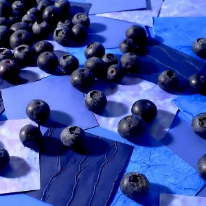 Spilled Blueberries