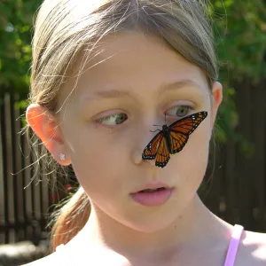 Dad, there's a butterfly