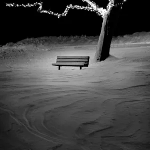 Wintery Bench
