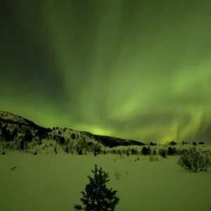 Northern Lights