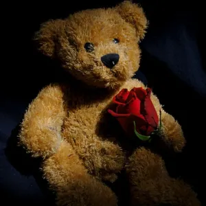 Teddy and the Rose
