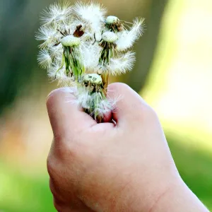 ~W I S H M A K E R S~