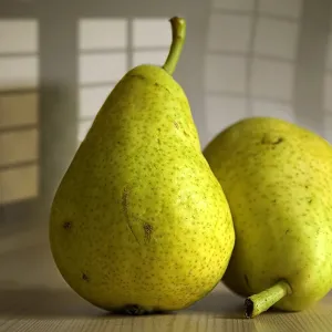 Pears