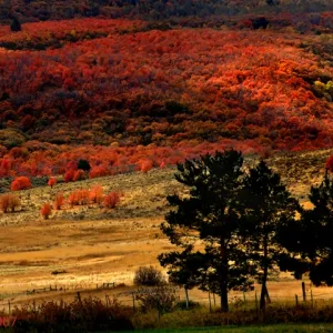 Picture Perfect Autumn