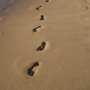 Footprints