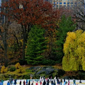 Winter in Central Park