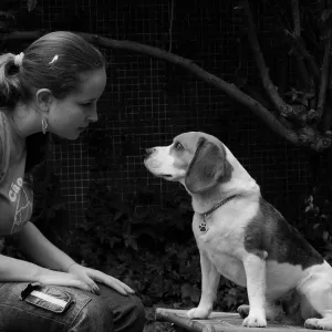 A Time-out for Buddy