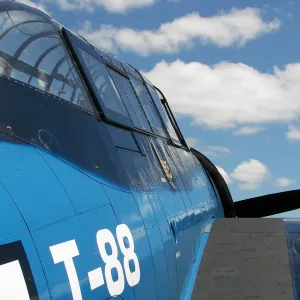 Into the Blue Yonder