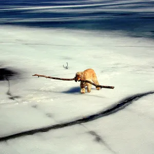 No, it's not too big!