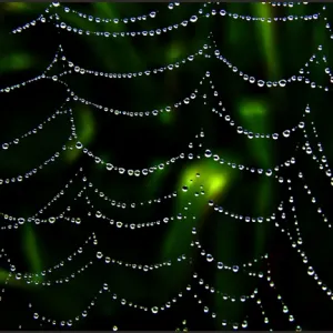 Treasures Are Everywhere