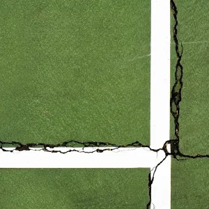 Cracked Court