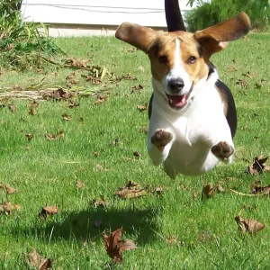 There's no need to fear!!