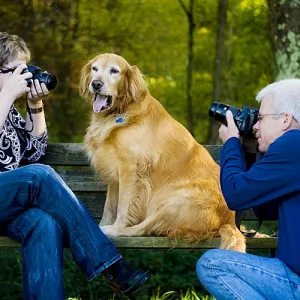 Hounded by the Paparazzi