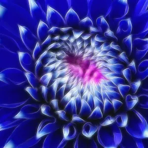 Center of Attraction