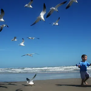 Favorite Place on Earth