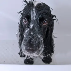 It's hard being beautiful