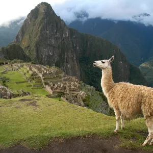 Mysterious Machu Picchu