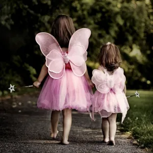 Fairy Sisters
